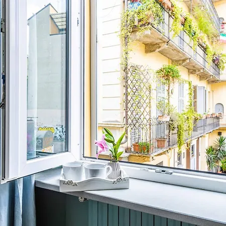 Joivy Studio Near Natural Museum